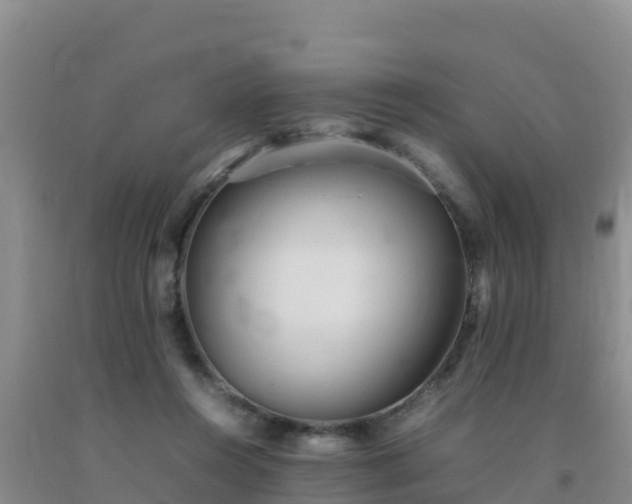 X0000092100360200709191311