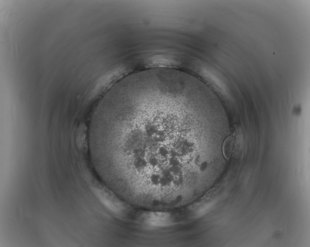 X0000092100361200709191311