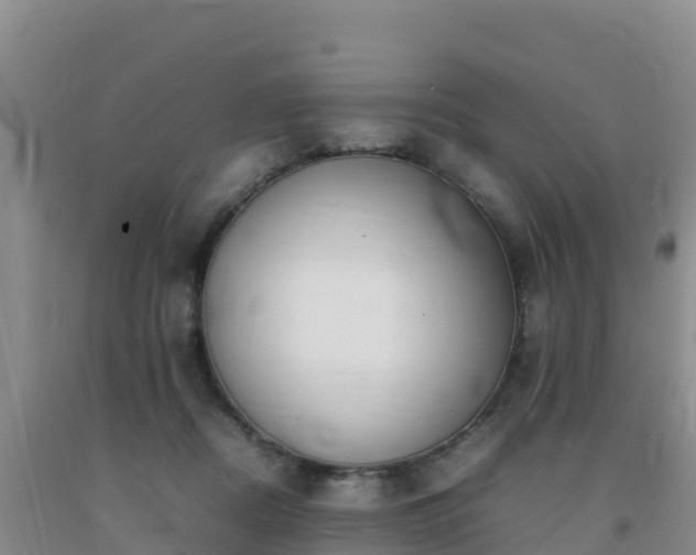 X0000092100362200709191311