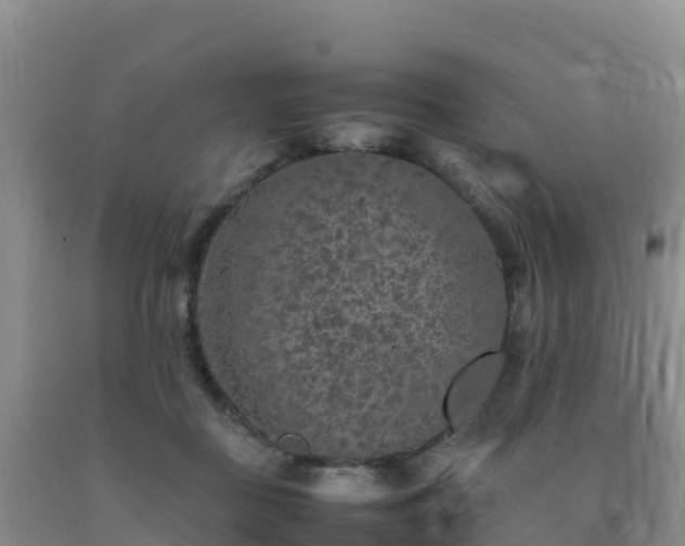 X0000092100363200709191311