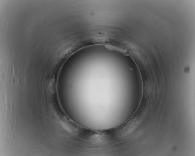 X0000092100364200709191311