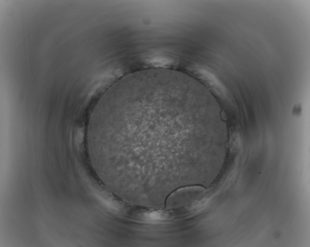 X0000092100365200709191311