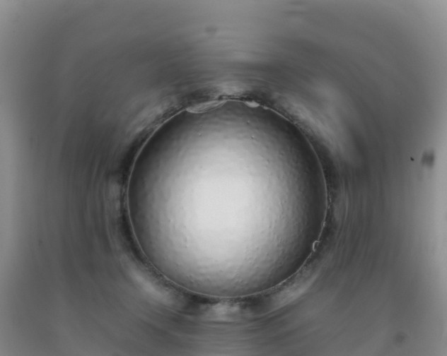 X0000092100366200709191311