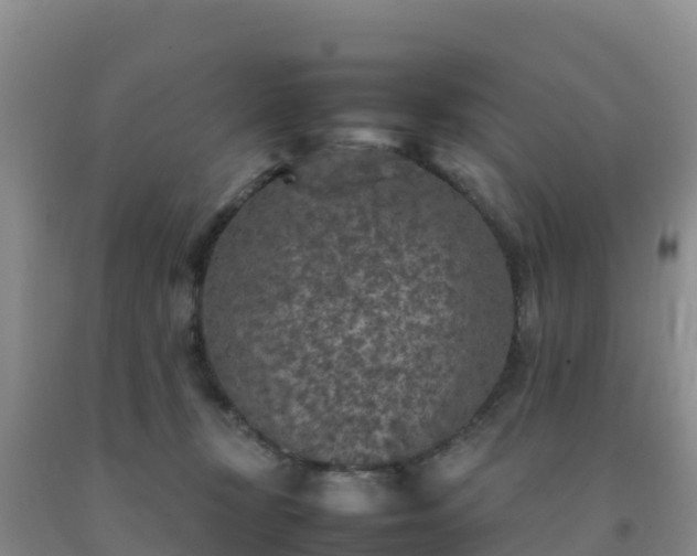 X0000092100367200709191311