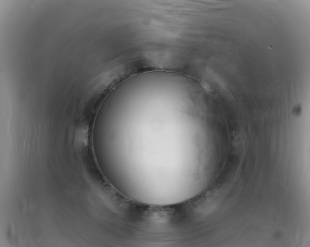 X0000092100368200709191312