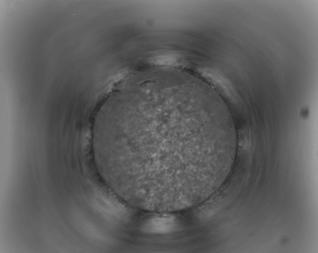 X0000092100369200709191312