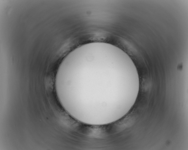 X0000092100370200709191312