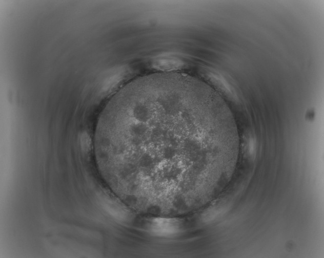 X0000092100371200709191312