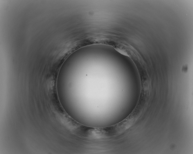 X0000092100372200709191312