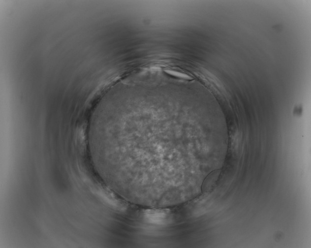 X0000092100373200709191312