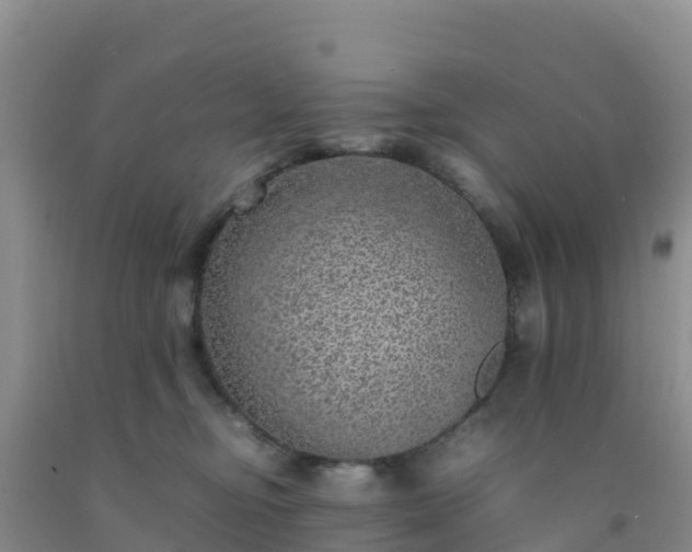 X0000092100374200709191312