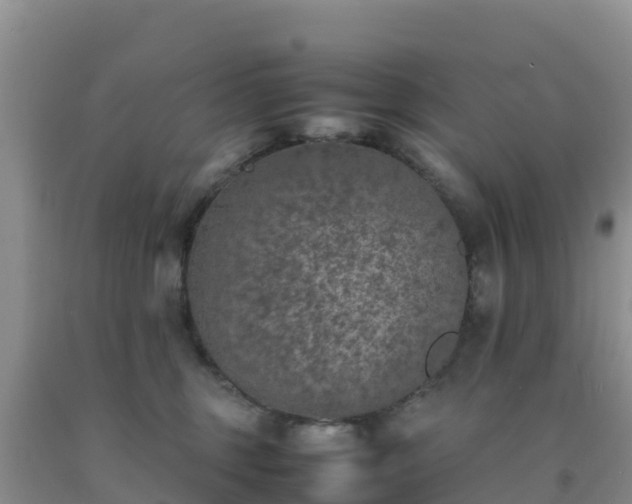 X0000092100375200709191312