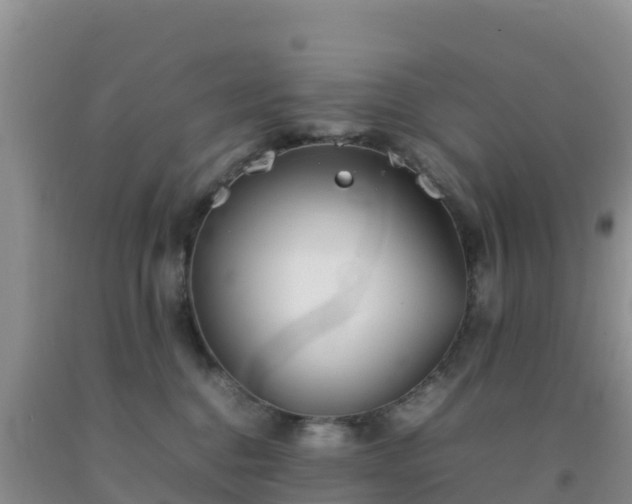 X0000092100376200709191312