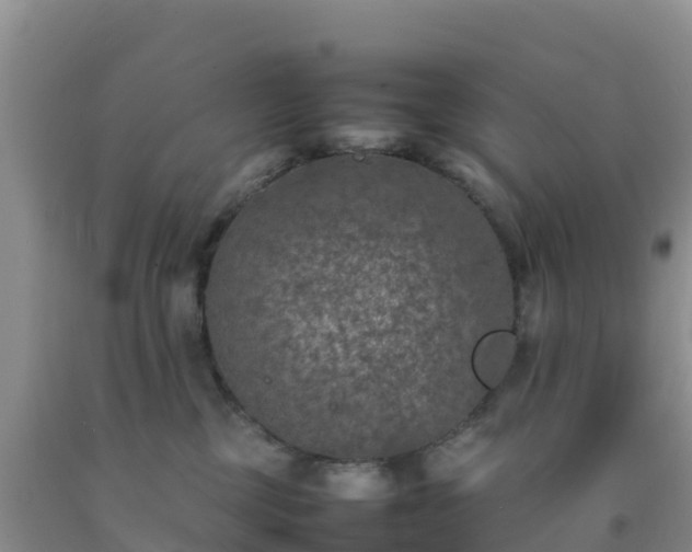 X0000092100377200709191312