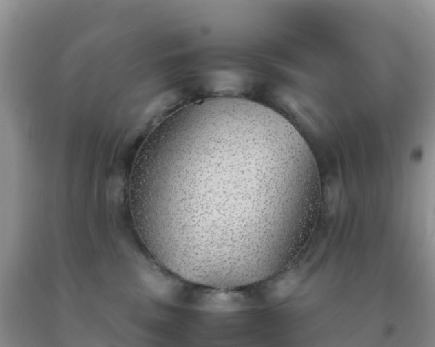 X0000092100379200709191312