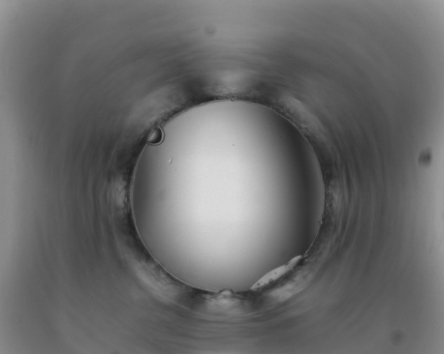 X0000092100380200709191312