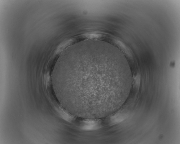 X0000092100381200709191312