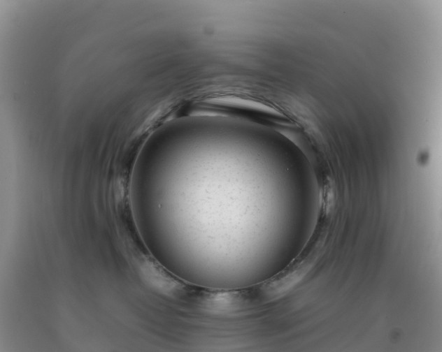 X0000092100382200709191312