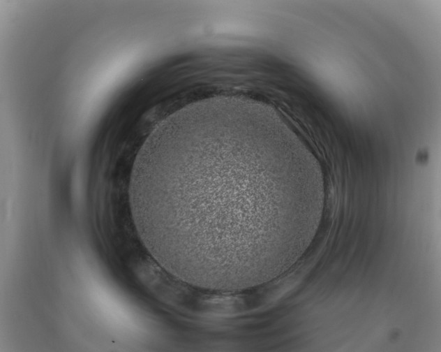 X0000092100383200709191312