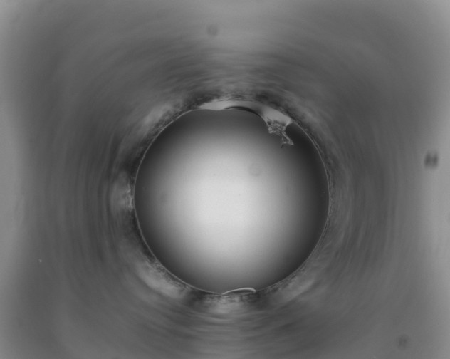 X0000092100384200709191312