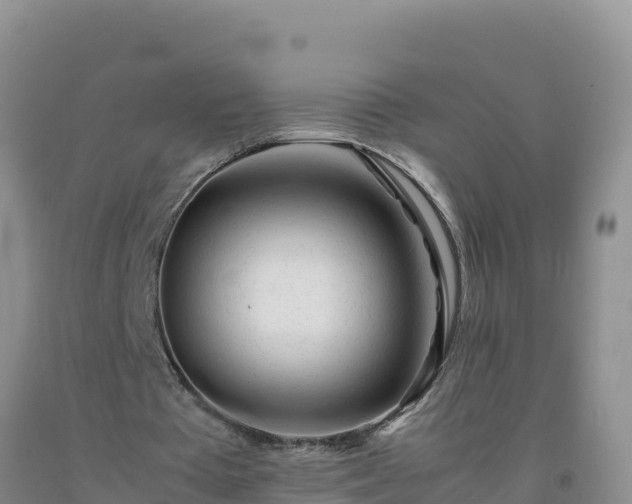 X0000092100385200709191311