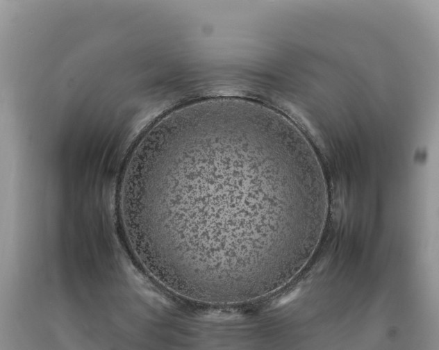 X0000092100386200709191311