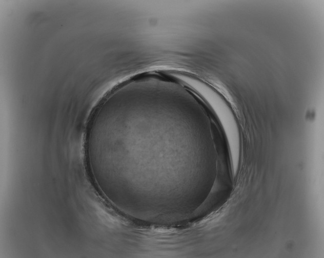 X0000092100387200709191311