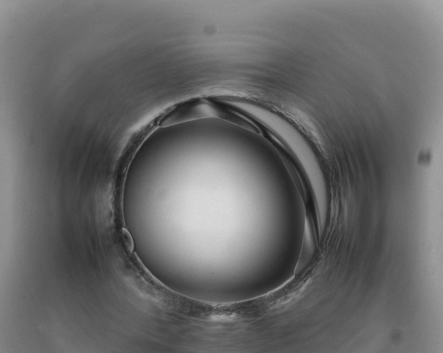 X0000092100388200709191311