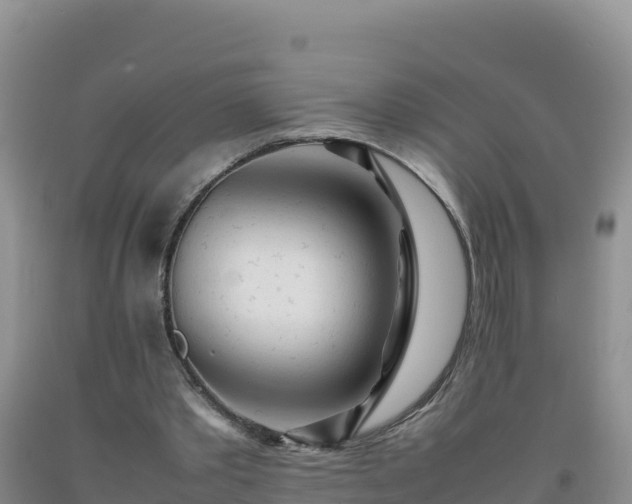 X0000092100389200709191311