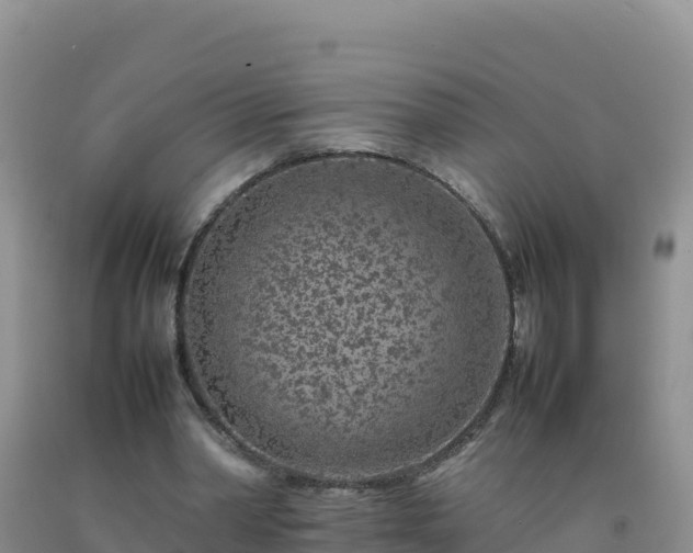 X0000092100390200709191311