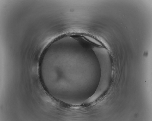 X0000092100391200709191311