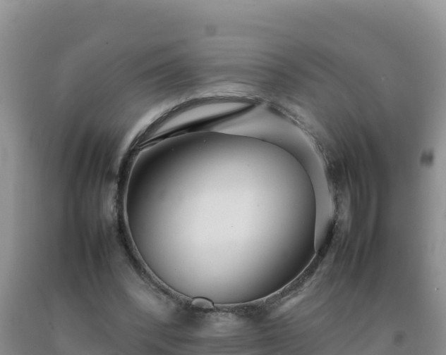 X0000092100392200709191311