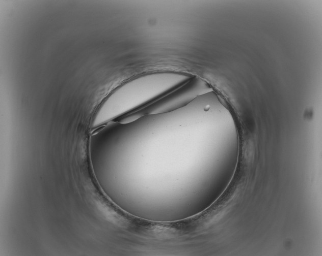 X0000092100393200709191311