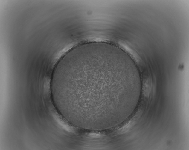 X0000092100394200709191311