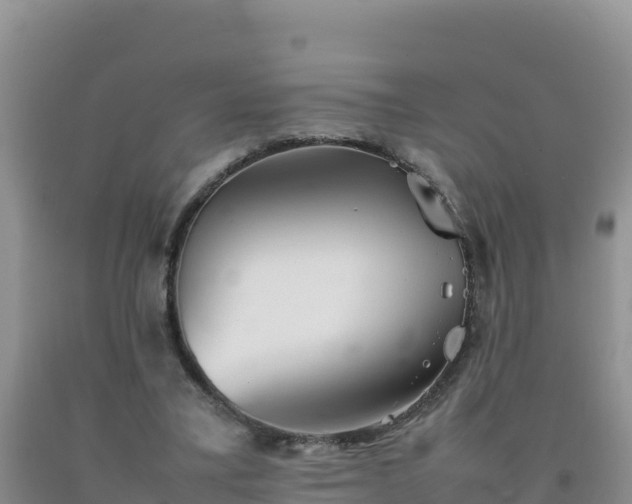 X0000092100395200709191311