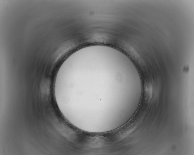 X0000092100396200709191311