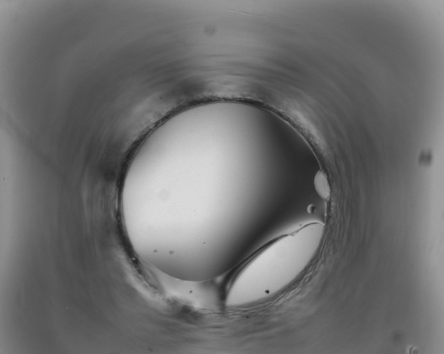 X0000092100397200709191311