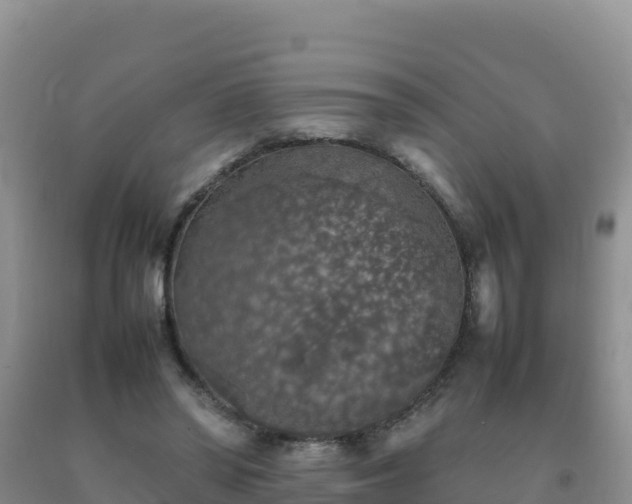 X0000092100398200709191311