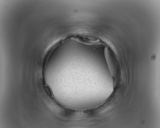 X0000092100399200709191311