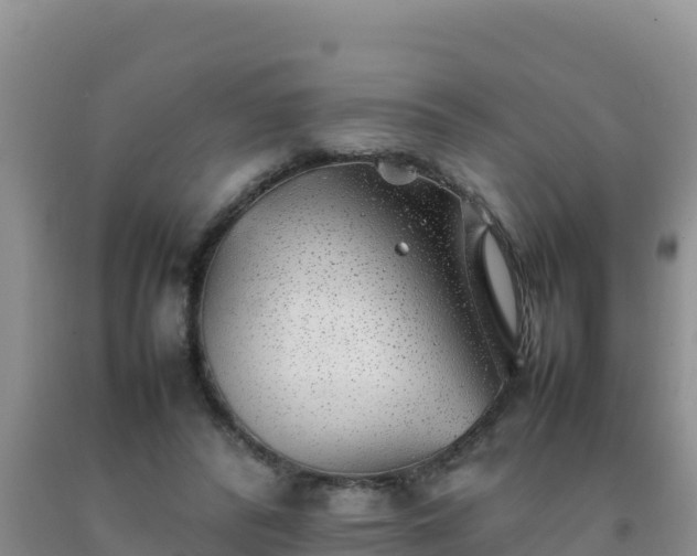 X0000092100400200709191311