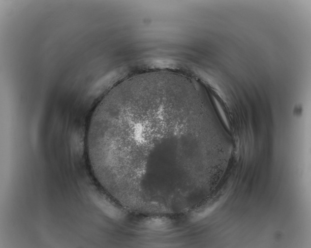 X0000092100402200709191311