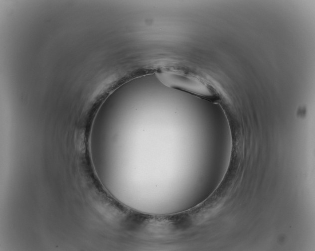 X0000092100403200709191311