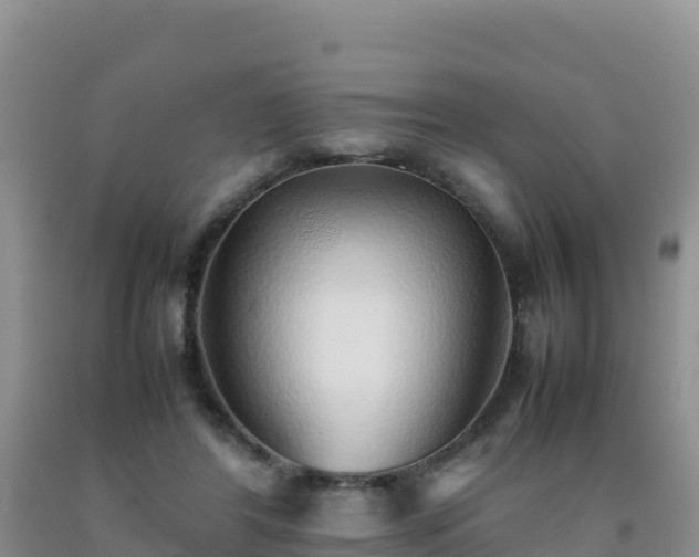 X0000092100404200709191311