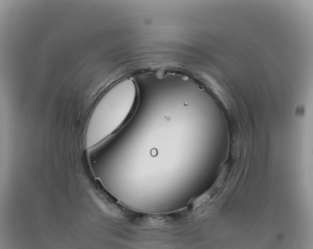 X0000092100405200709191311