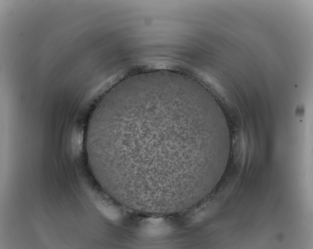 X0000092100406200709191311