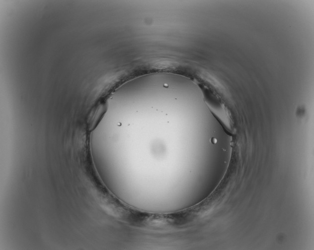 X0000092100407200709191311