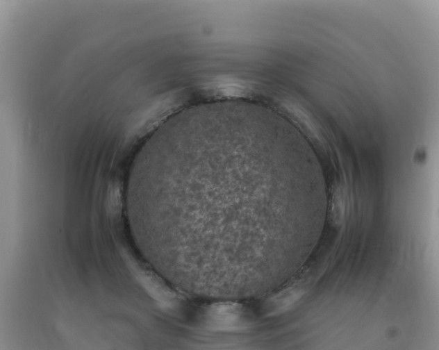 X0000092100410200709191311