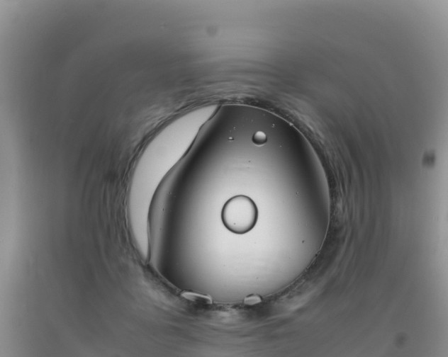 X0000092100411200709191311