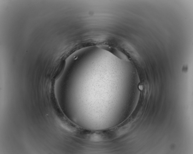 X0000092100412200709191311