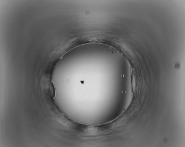 X0000092100413200709191311